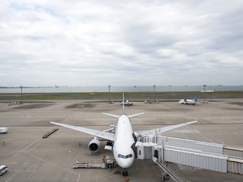 Narita mı Haneda mı? Japonya'nın Havalimanları ve Şehre Ulaşım