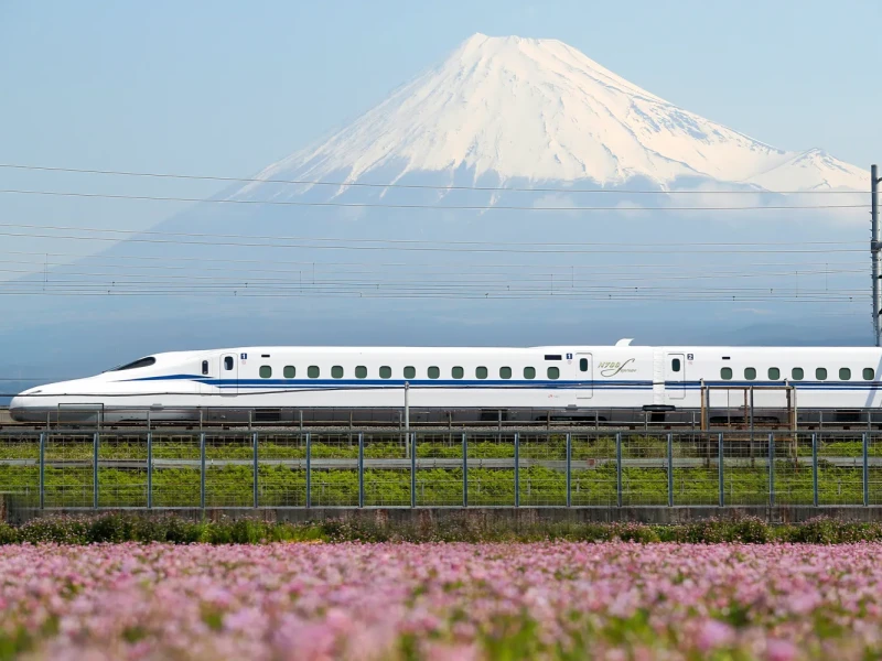 Bilet Sırasından Kaçının! Ayrıcalıklı Shinkansen Hızlı Tren Biletleri (Standart Vagon / Yeşil Vagon)
