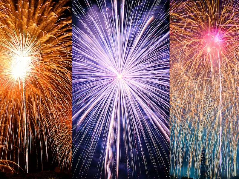 【Guaranteed departure】Bus Tour from Shinjuku to Numata Fireworks Festival & Suwakyo Gorge