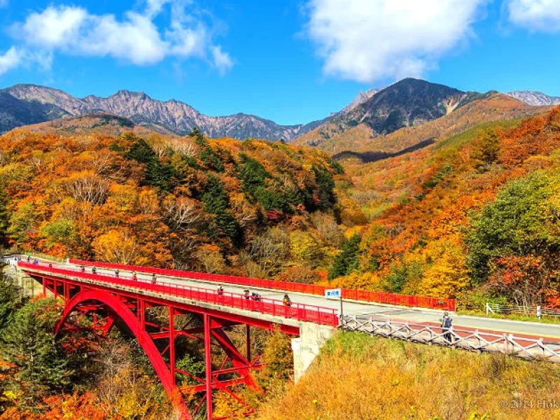 1 Günlük Tur: Yatsugatake ve Kiyosato Panorama'da Sonbahar Deneyimi/Tokyo'dan