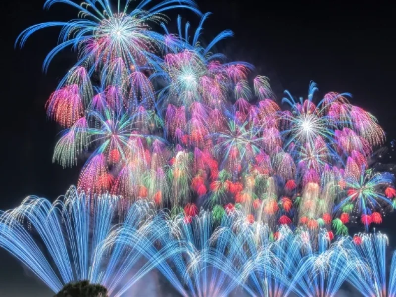 【Guaranteed departure】Day Bus Tour from Shinjuku: Koga Fireworks Festival, Peach Picking, and Gelato