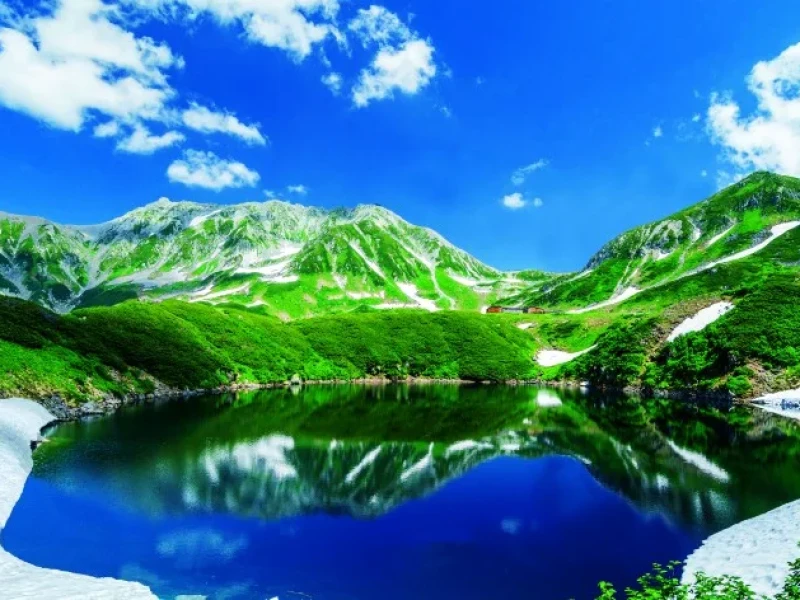 Tokyo'dan 2 Günlük Otobüs Turu: Tateyama Kurobe Alpin Rotası, Shirakawa-go & Hida Takayama