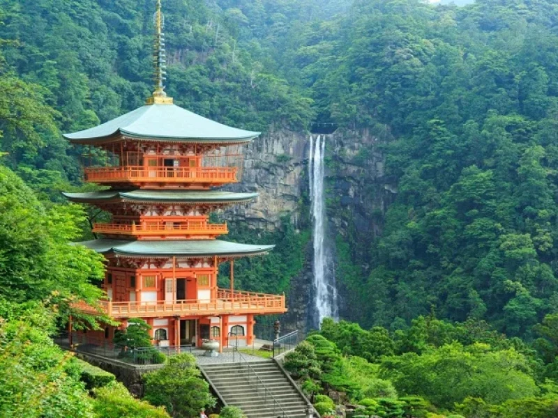 Nachi Şelalesi ve Kumano Kodo: Nagoya'dan Onigajo Dünya Mirası Turu