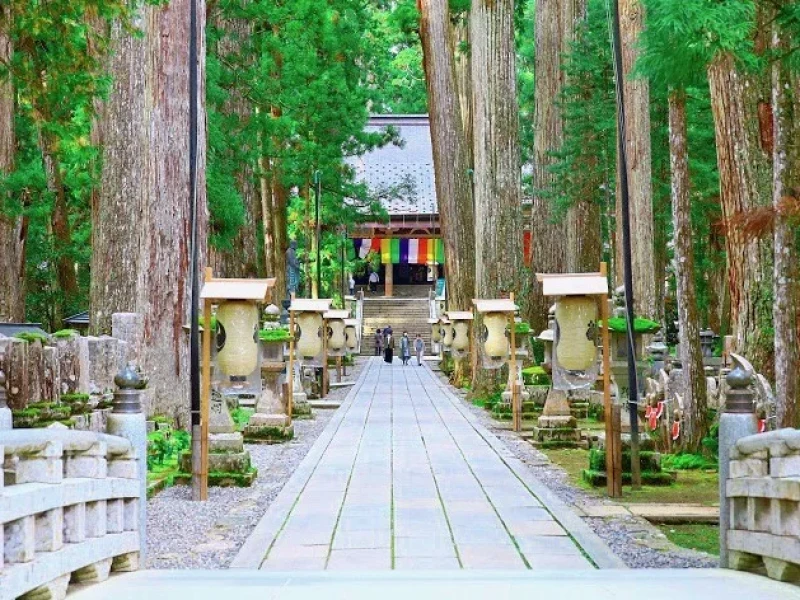 【%10 İNDİRİM】Osaka'dan Günübirlik Tur: Okunoin ve Kutsal Mt. Koya ile Yerel Mutfağı Keşfedin