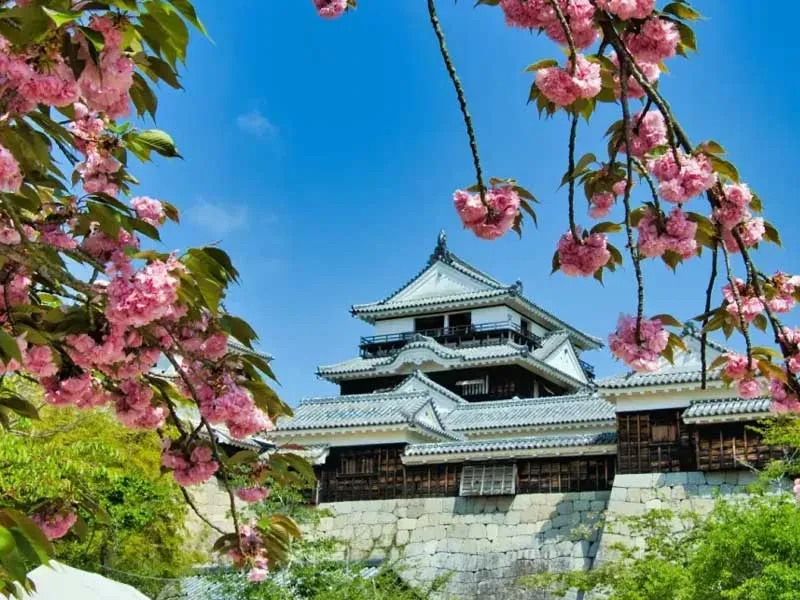 Ehime Prefecture