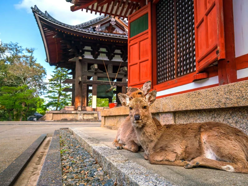 Nara Prefecture