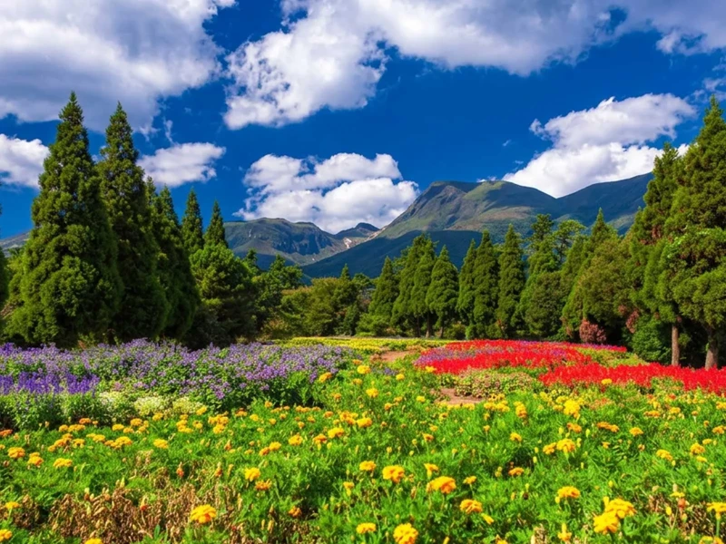 Oita Prefecture