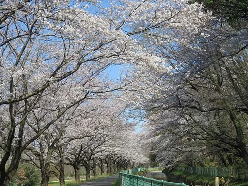 Saitama